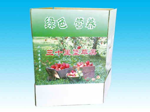 某某產品介紹